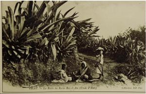 ORAN 1900 (5)
